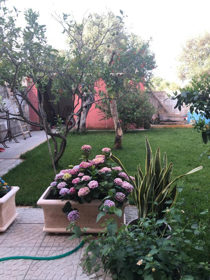 San Sperate Paese Museo 아파트 외부 사진